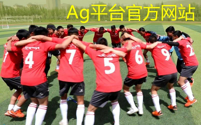 ui设计需要学习哪些内容