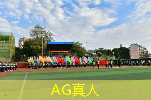 ag真人官方网：3d像素砍杀游戏