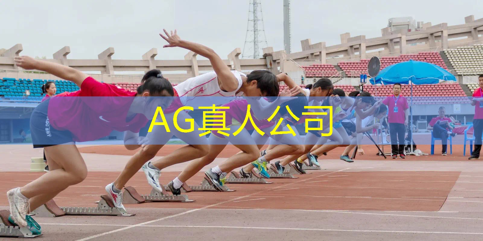 AG真人国际官网：海贼王3d游戏招募选哪个好