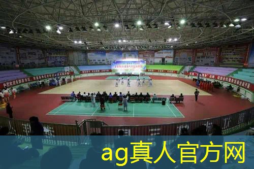 AG真人公司：拼字游戏小程序有几关组成