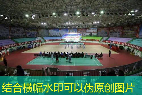 Ag平台官方网站：可爱休闲小程序游戏推荐