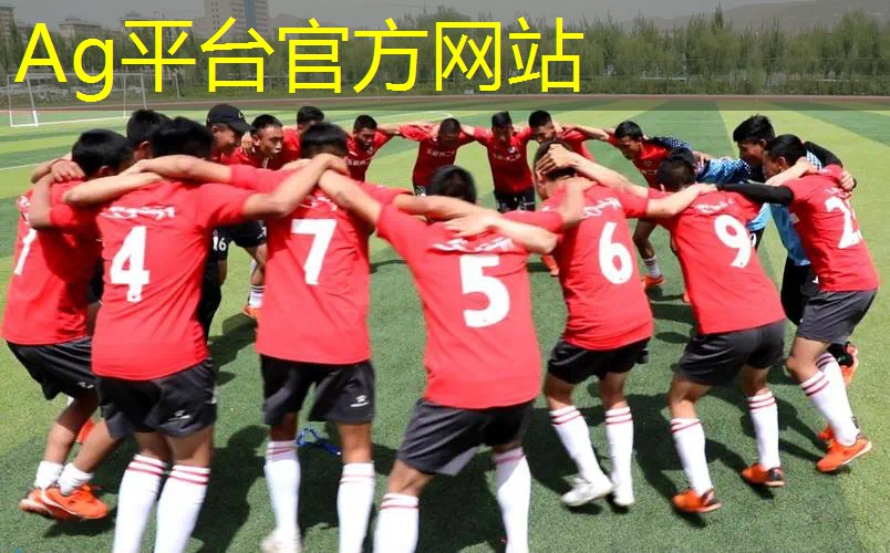 Ag平台官方网站：甜瓜游戏入口3d