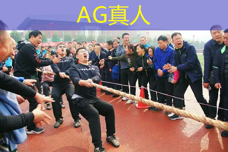 Ag平台官方网站：程序猿角色游戏攻略第二章