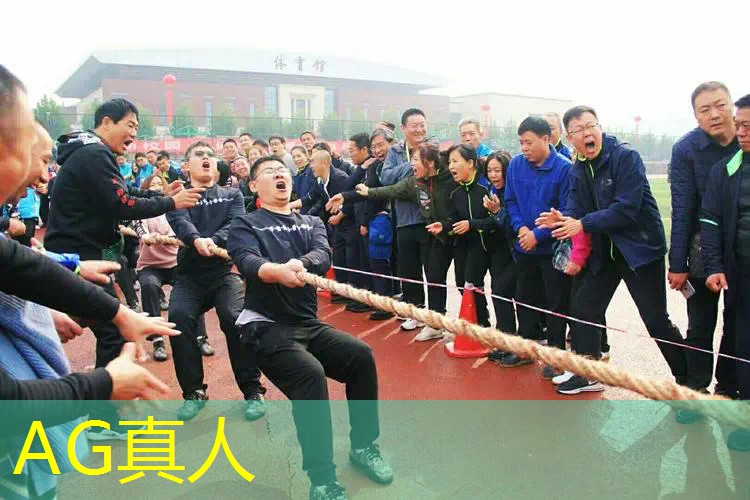 AG真人公司：3d视角益智游戏推荐
