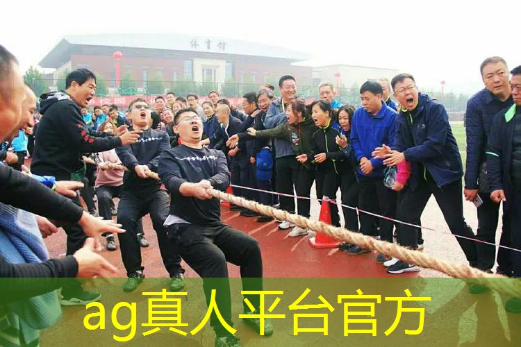 ps4 3d策略类游戏