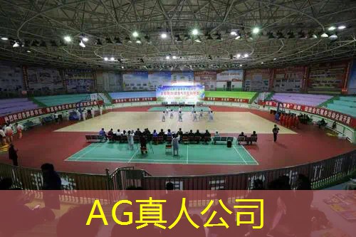 ag真人官方网：怀旧3d手机游戏推荐
