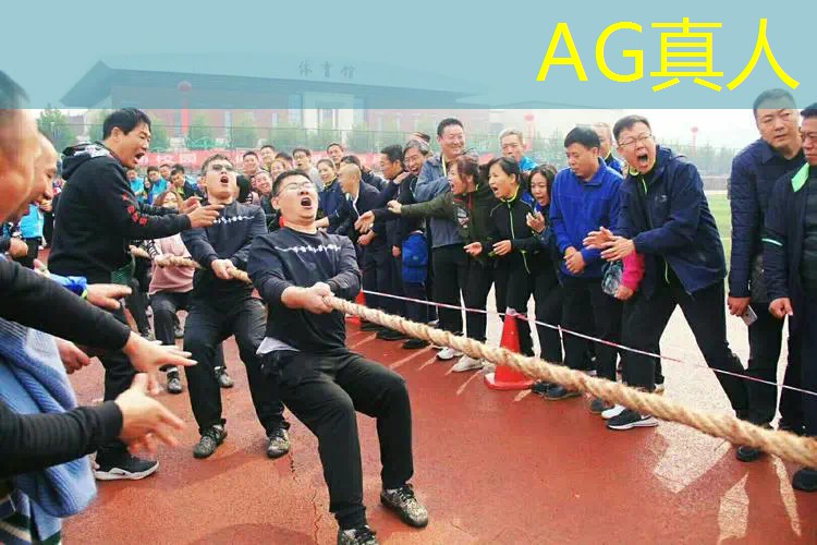 AG真人：3d第三人称闯关游戏