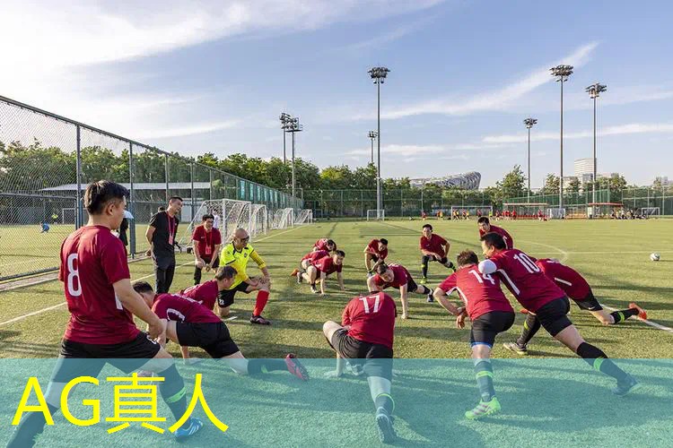 AG真人国际官网：矮人进化3d游戏攻略大全