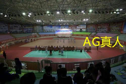 AG真人：游戏录制原画怎么弄的