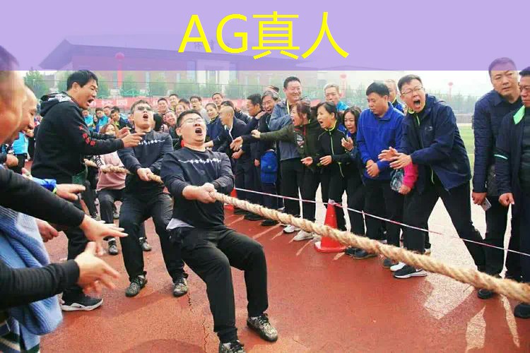 ag真人平台官方：推荐个3d打怪手游游戏