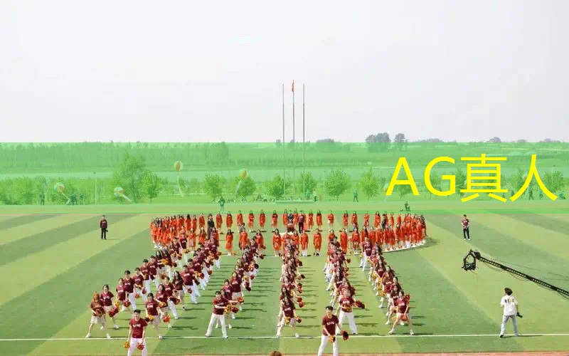 ag真人官方网：游戏人物原画用什么画比较好