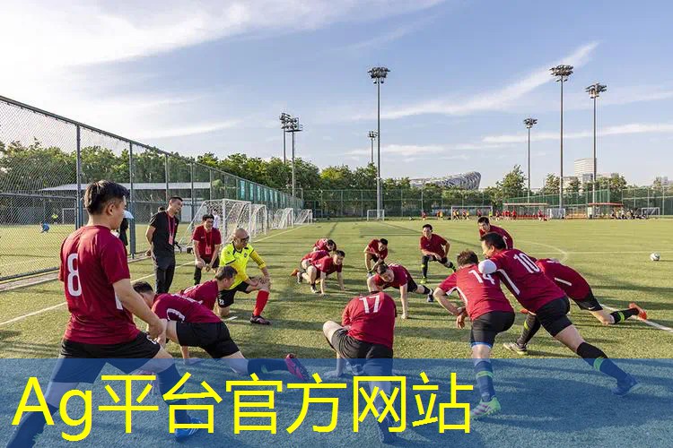 光荣三国志游戏原画是什么