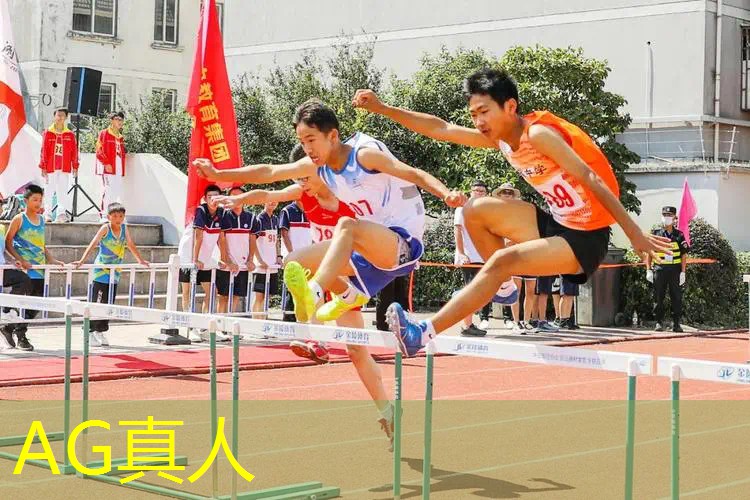 ag真人平台官方：日本3d街机机甲对战游戏