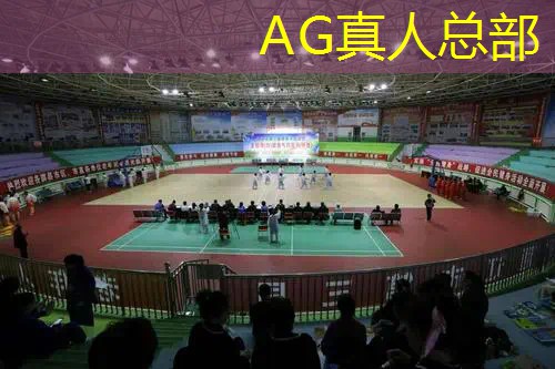 AG真人国际官网：手机3d模拟打牌游戏推荐