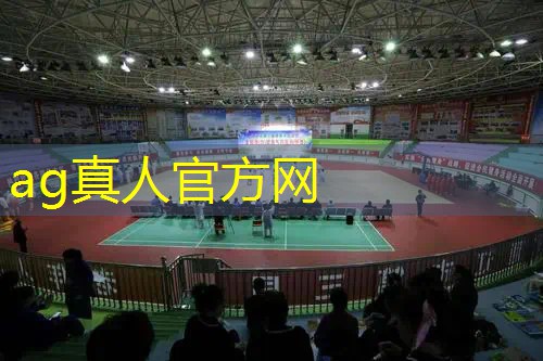 ag真人平台官方：3d回合制游戏坐骑