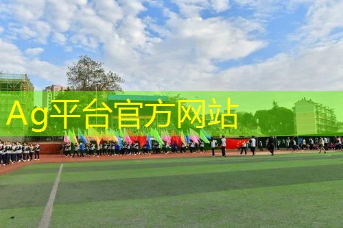 大型程序游戏怎么玩的