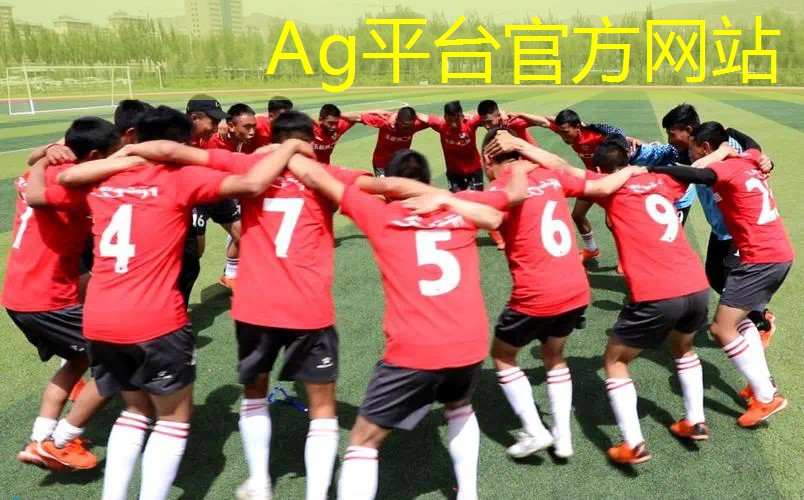 AG真人：3d英雄联盟电脑游戏怎么玩