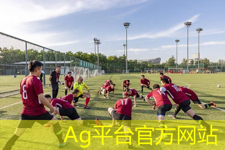 3d换装游戏测评大全最新