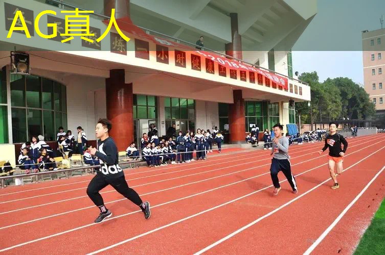 AG真人总部：玩跳棋的程序有哪些游戏