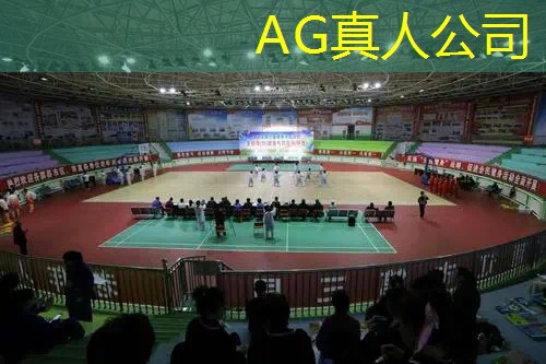 AG真人国际官网：英国大学游戏原画课程有哪些
