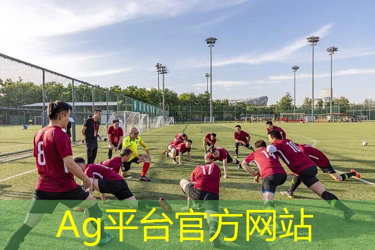 ag真人官方网：逆战稀有3d同人游戏推荐