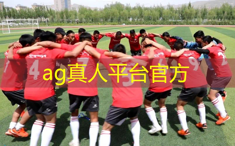 写程序写游戏需要什么语言