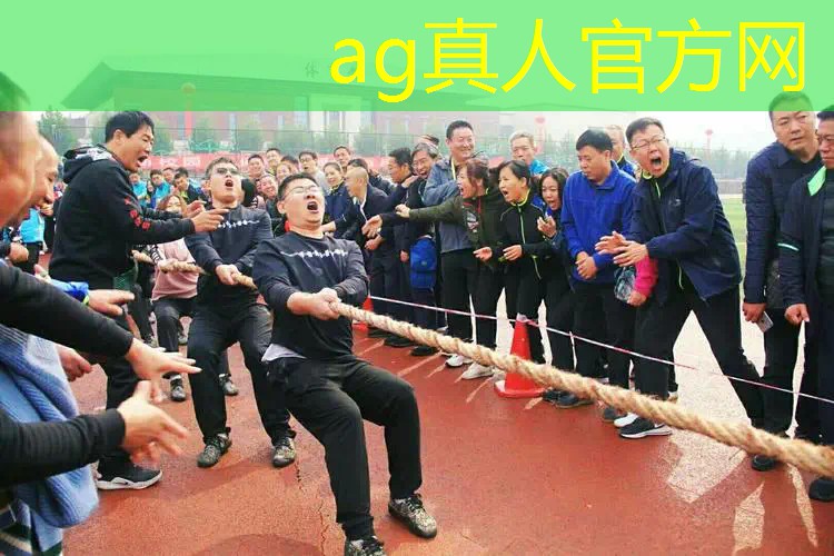 AG真人国际官网：3d驾驶课游戏玩法大全