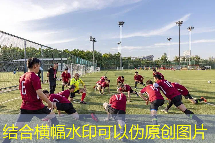 ag真人平台官方：3d网游开车游戏推荐