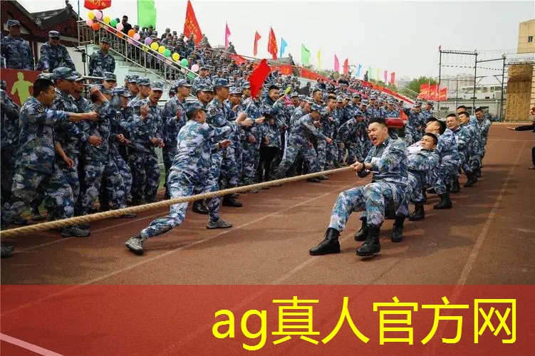 AG真人公司：汽车对抗组装游戏3d