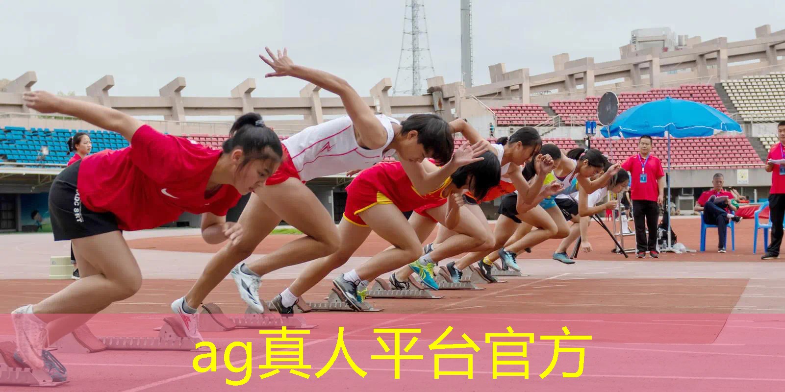 三年级3d编程游戏作品