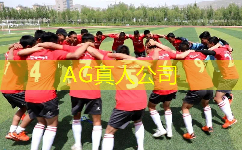 Ag平台官方网站：韩国3d驾驶游戏4.0车包