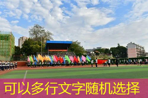 Ag平台官方网站：全民赛车3D小游戏进入