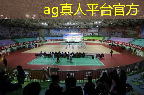 台球3d怎么联机游戏的