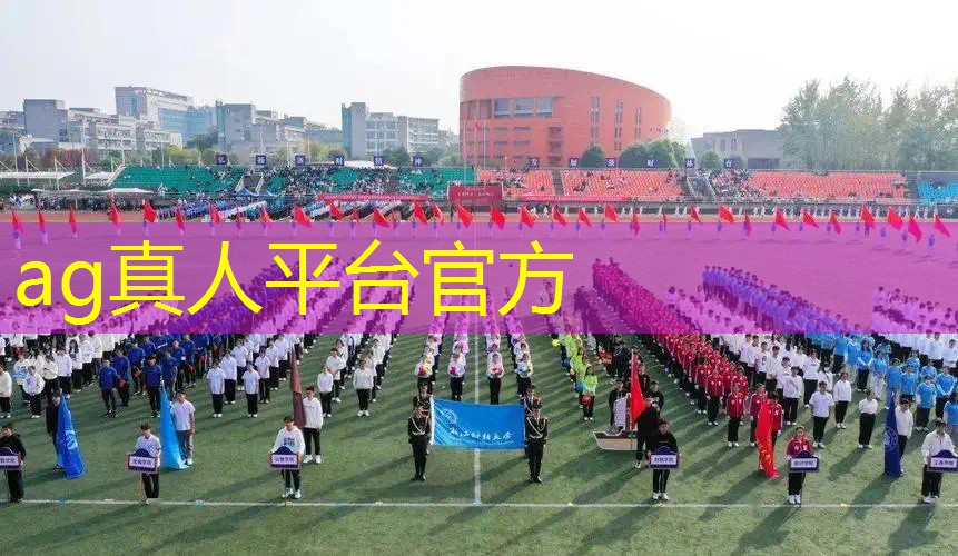 AG真人国际官网：首款索尼克3d模型游戏