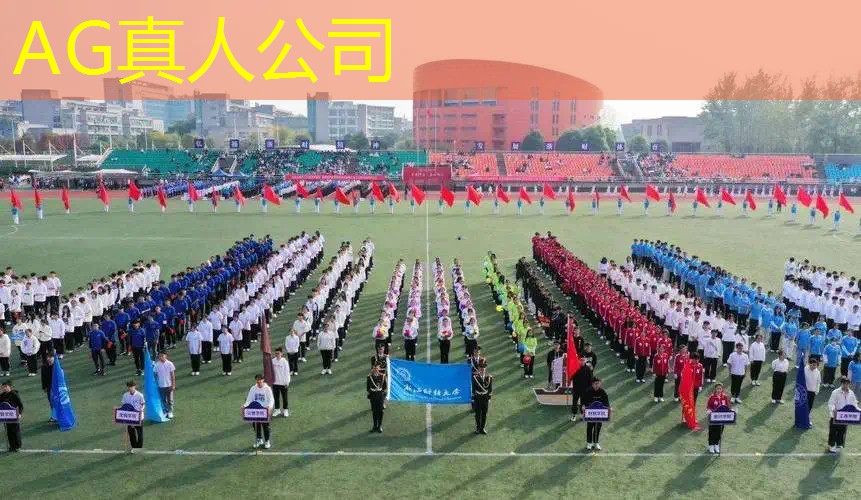 ag真人平台官方：国外3D格斗游戏大全