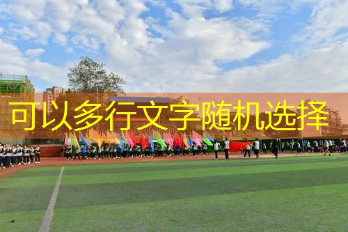 微信小程序游戏喵星联盟客服