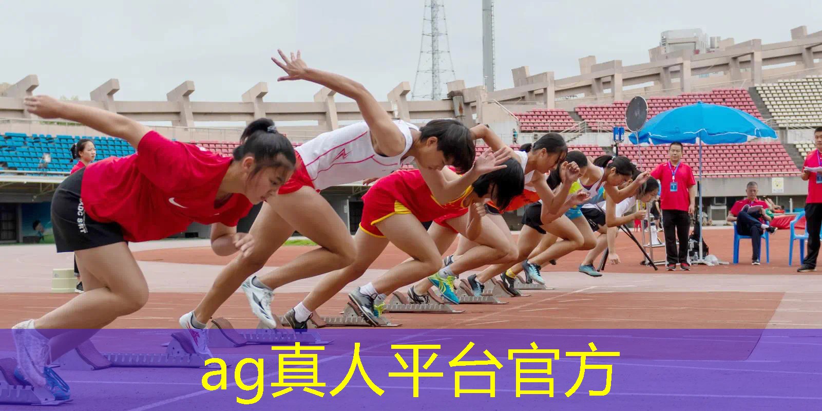 3d美少女格斗游戏高清