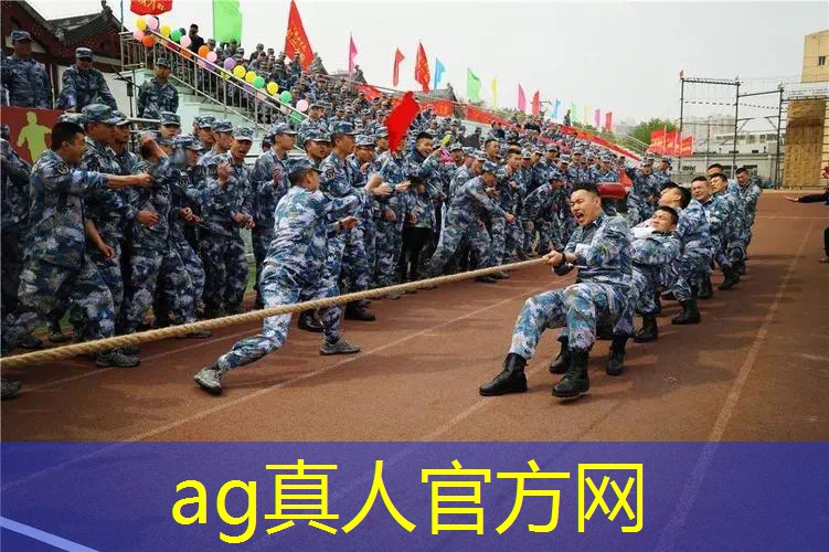 AG真人：电脑单机3d游戏中世纪
