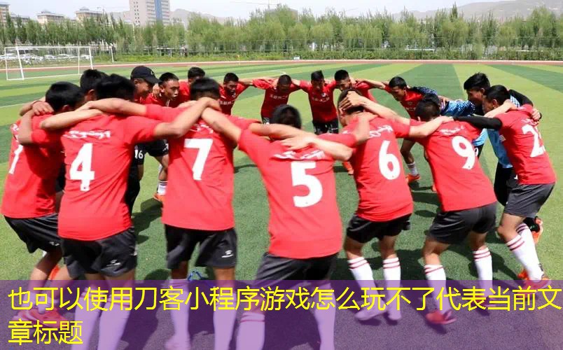 刀客小程序游戏怎么玩不了