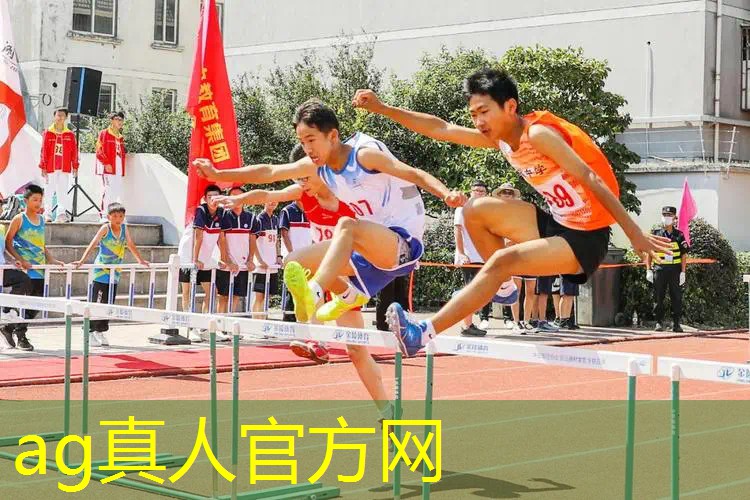 AG真人：3d版两位君主的游戏叫什么