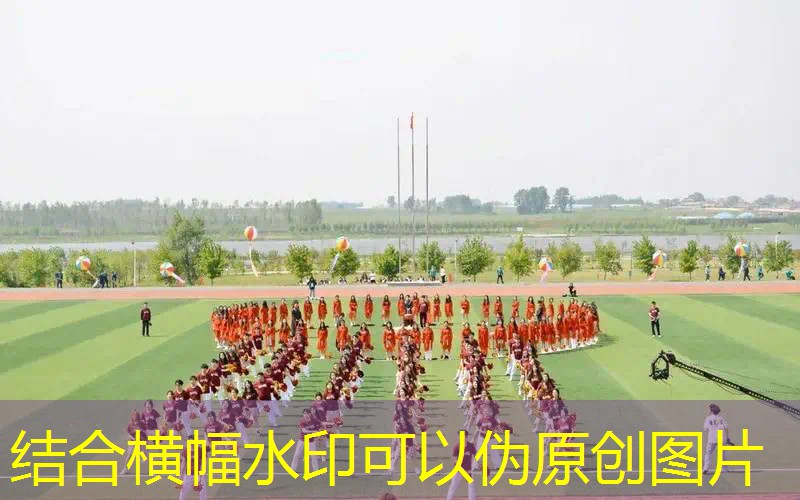 鸡游戏小程序免费玩一整天
