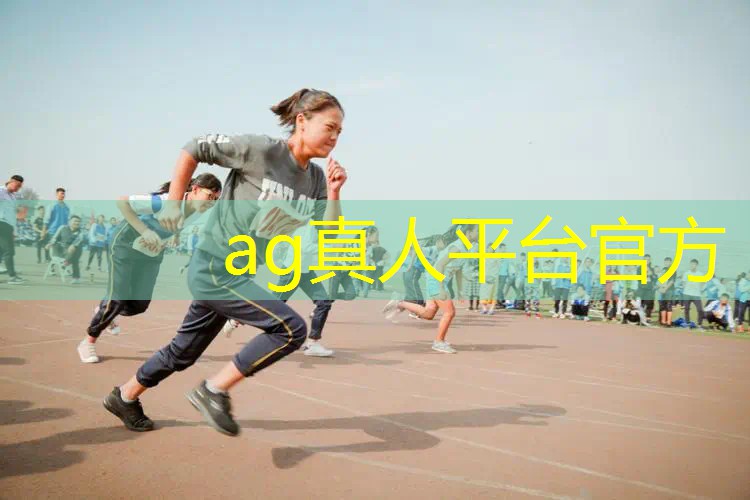 苏联3d防空炮游戏叫什么