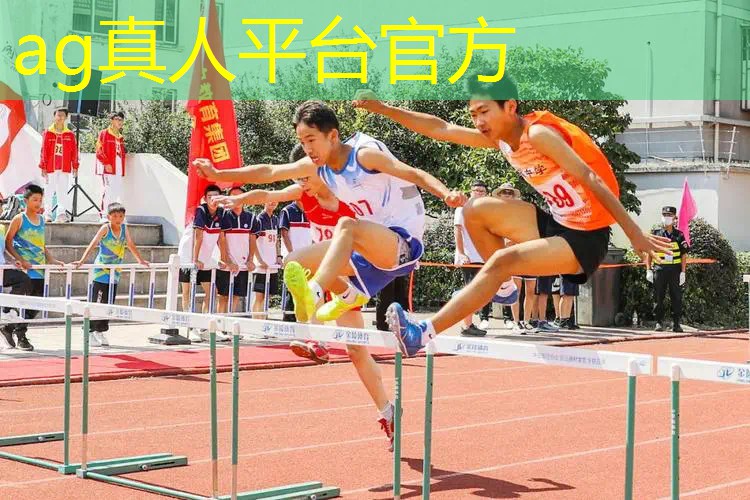 动画和影视动画