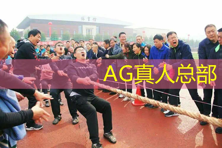 3d视角益智游戏推荐
