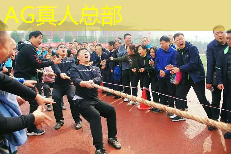 ps4 3d策略类游戏