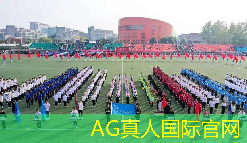 航海王3d游戏剧情解析