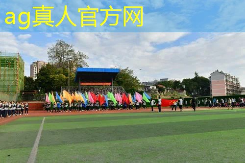 二次元高画质3d游戏手游