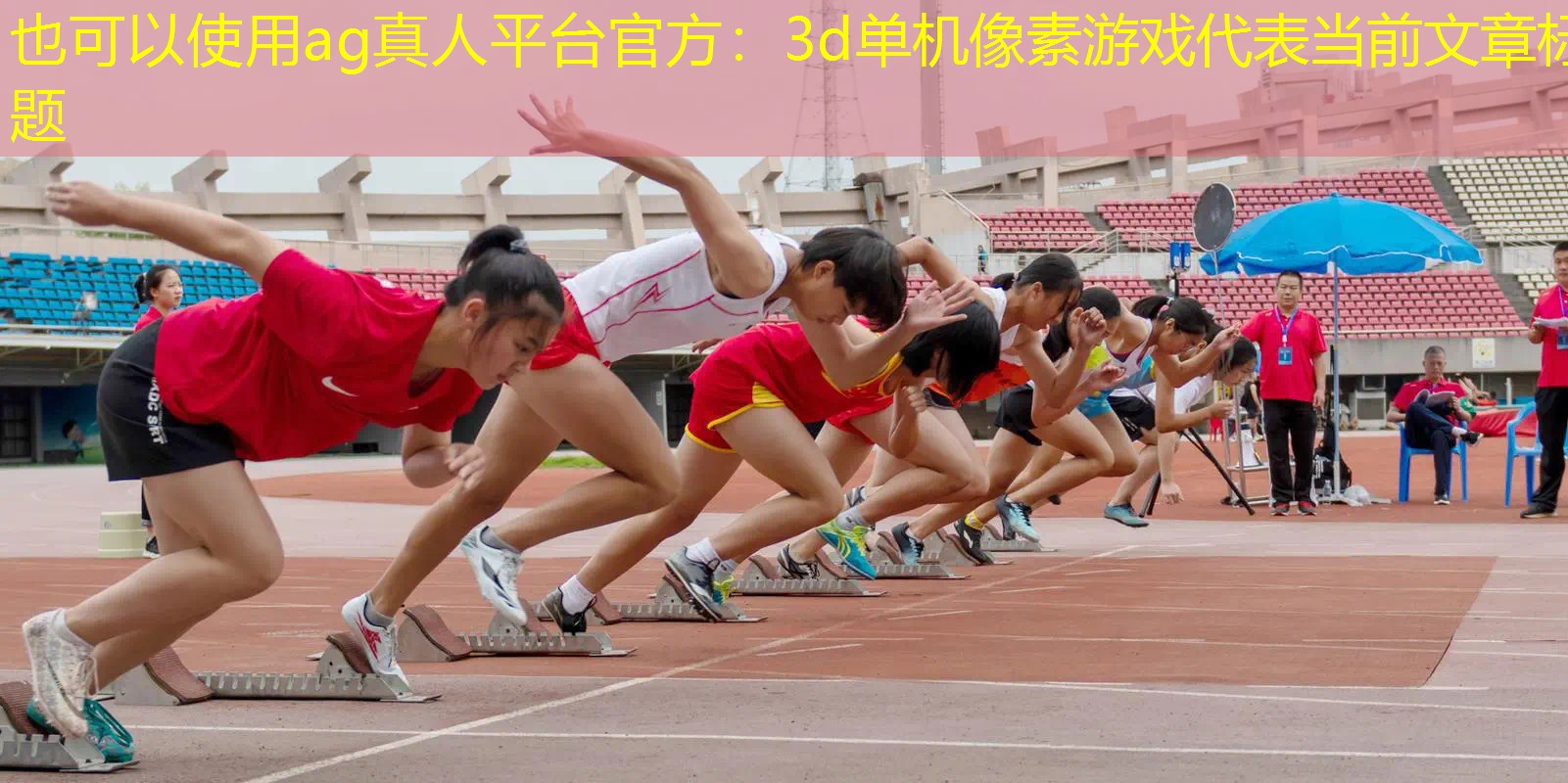 3d单机像素游戏