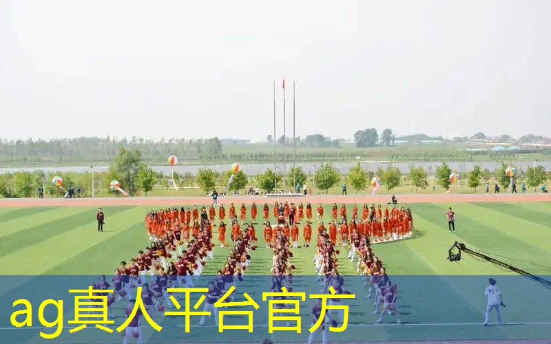 一款机器人3d手游老游戏