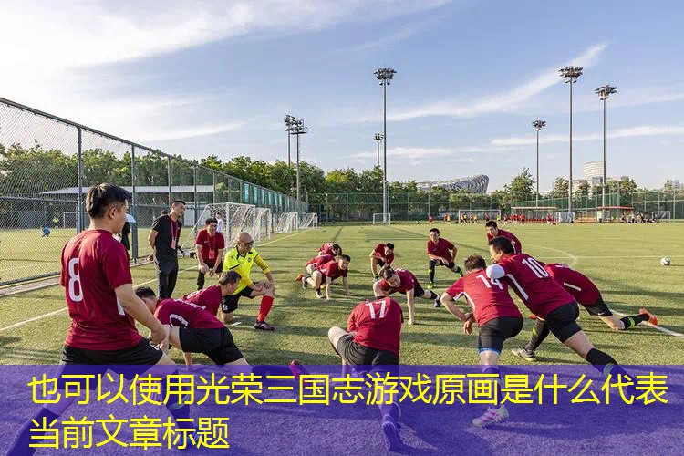 光荣三国志游戏原画是什么